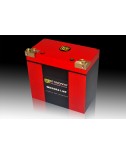 07-W-STANDARD Motorcycle lithium battery WEX6R21-MF Start the power supply 21Ah BMW Harley