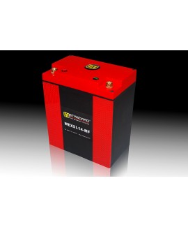 06-W-STANDARD Motorcycle lithium battery WEX5L14-MF Start the power supply 14Ah