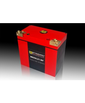 07-W-STANDARD Motorcycle lithium battery WEX6L21-MF Start the power supply 21Ah BMW Harley