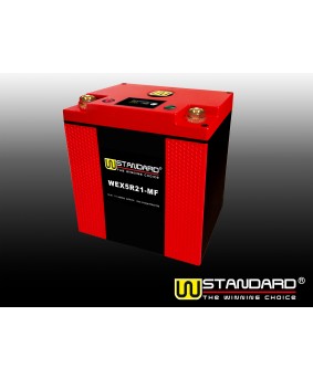 14-W-STANDARD摩托车锂电池WEX5R21-MF启动电源21Ah
