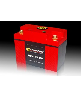 02-W-STANDARD摩托车锂电池WEX1R9-MF启动电源9Ah