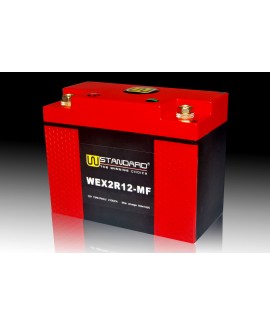 03-W-STANDARD摩托车锂电池WEX2R12-MF启动电源12Ah