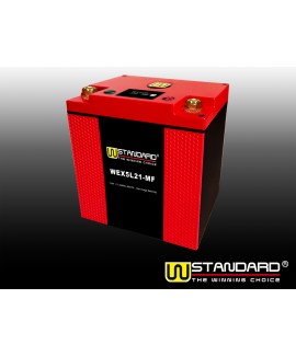 14-W-STANDARD摩托车锂电池WEX5L21-MF启动电源21Ah
